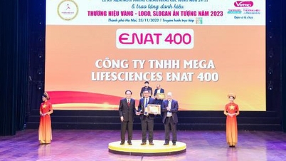 Together with 'Top 10 Golden Brands 2023'