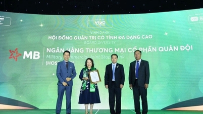 MB nhận giải thưởng uy tín nhờ trợ lực doanh nghiệp tiếp cận ‘tín dụng xanh’