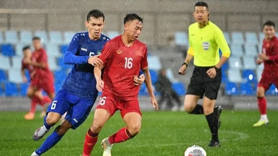 Thua hai trận, tuyển Việt Nam bất ngờ… tăng hạng trên bảng xếp hạng FIFA