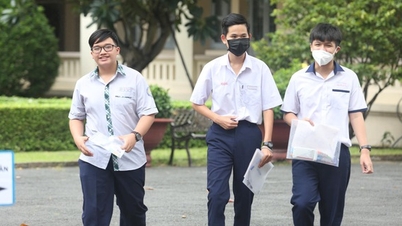 Grade 10 admission prioritizes IELTS: Some agree, some disagree