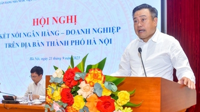 'Doanh nghiệp đã mất khả năng hấp thụ thì ngân hàng đưa nhân sâm vào vẫn chết'