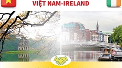 Profundizar, hacer efectivas y sostenibles las relaciones entre Vietnam e Irlanda