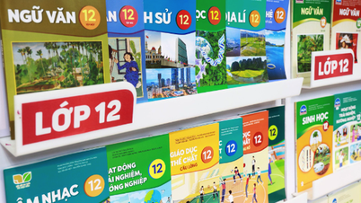 Giá sách giáo khoa giảm từ 9,6-11,2% trong năm học 2024-2025