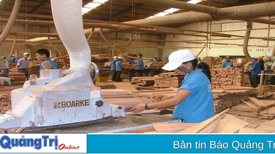 Gần 59 tỉ đồng thực hiện dự án Tổ hợp chế biến gỗ Quảng Trị