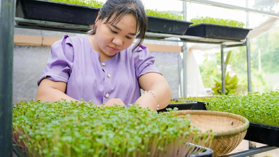 Kauçuk tıkama işçisi temiz mantar yetiştirme konusunda tutkuludur.