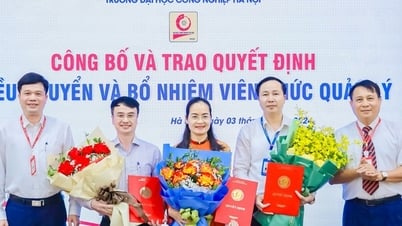 ដោយខិតខំដើម្បីក្លាយជាសាកលវិទ្យាល័យ សាកលវិទ្យាល័យឧស្សាហកម្មហាណូយបានបើកសាលាសេដ្ឋកិច្ចមួយទៀត
