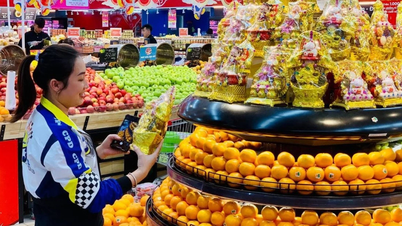 Tháng khuyến mại Hà Nội năm 2024 diễn ra từ 19-30/12 với hơn 1.000 điểm bán hàng ưu đãi