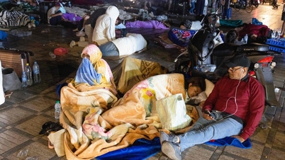 No se registran muertos vietnamitas en el terremoto del siglo en Marruecos