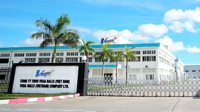 Hơn 50 công nhân nhập viện