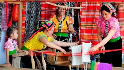 ការបង្កើតក្រុមប្រឹក្សាត្រួតពិនិត្យរបាយការណ៍ស្តីពីការកែសម្រួលកម្មវិធីគោលដៅជាតិ