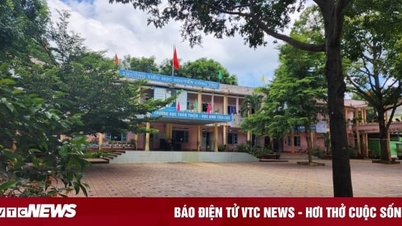 Đánh học sinh, cô giáo giải thích 'chỉ vì thương'