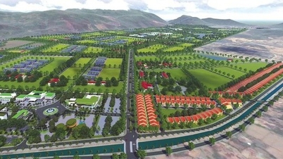 Dự án nông nghiệp công nghệ cao của FLC ở Phú Yên chấm dứt hoạt động