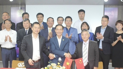 Signing of a tripartite cooperation agreement between HANSIBA, N&G Group and Shanghai business delegation