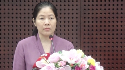 Ngành giáo dục TP.Đà Nẵng lên tiếng vì quyết định cho nghỉ học do mưa lớn