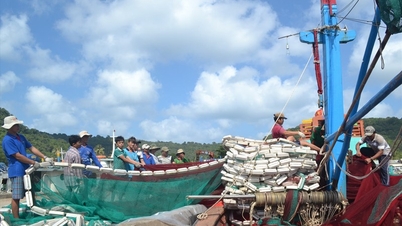 Thăng Bình phát triển mạnh kinh tế biển | BÁO QUẢNG NAM ONLINE