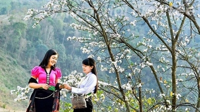 Sắp diễn ra hội thảo hiến kế để du lịch Điện Biên gỡ "điểm nghẽn", phát triển bền vững