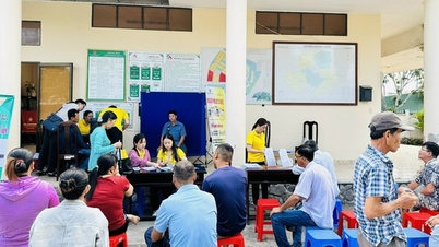 ចាប់ពីថ្ងៃទី 26 ខែកុម្ភៈ ប្រជាជន Can Tho ដាក់ពាក្យសុំប្តូរប័ណ្ណបើកបរនៅទីតាំងថ្មី។