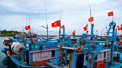 Science and Technology in Storm Forecasting Helps Fishermen Get Ashore Safely -