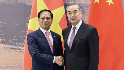 Bộ trưởng Ngoại giao Bùi Thanh Sơn hội đàm với Bộ trưởng Ngoại giao Vương Nghị