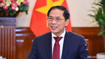 រដ្ឋមន្ត្រី Bui Thanh Son នឹងចូលរួមសម័យប្រជុំជាន់ខ្ពស់នៃសម័យប្រជុំលើកទី ៥៥ នៃក្រុមប្រឹក្សាសិទ្ធិមនុស្សអង្គការសហប្រជាជាតិ និងទៅបំពេញទស្សនកិច្ចជាផ្លូវការនៅប្រទេសអៀរឡង់។