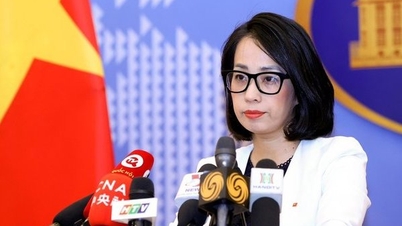 Việt Nam lên án mạnh mẽ các hành động bạo lực nhằm vào dân thường
