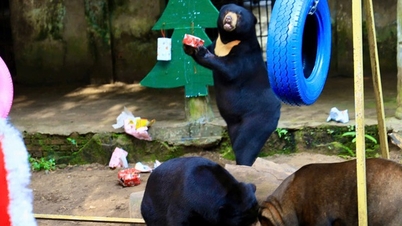 ដំណើរវេទមន្តរបស់ Santa Bear