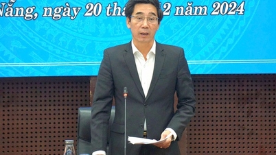 Da Nang streamlines apparatus, plans to reduce 20% of focal points