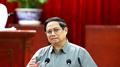 Solving 2 bottlenecks, the Mekong Delta will develop strongly