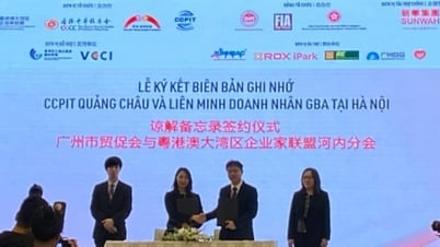 Greater Gulf Business Alliance ជំរុញការវិនិយោគនៅវៀតណាម