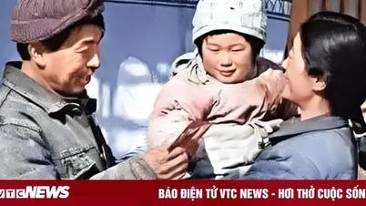유명 대학 강사가 직장을 그만두고 산으로 들어가 은둔 생활을 한 이야기