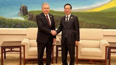 ប្រធានាធិបតី Uzbekistan ស្ងើចសរសើរចំពោះសមិទ្ធិផលរបស់វៀតណាមក្នុងការច្នៃប្រឌិត និងការអភិវឌ្ឍន៍សេដ្ឋកិច្ចសង្គម