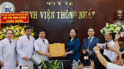 អនុប្រធានាធិបតី អញ្ជើញទៅសួរសុខទុក្ខ និងអបអរសាទរទិវាគ្រូពេទ្យវៀតណាម នៅទីក្រុងហូជីមិញ