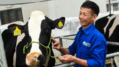 From deep in debt to becoming a 'billionaire' after 20 years of raising dairy cows
