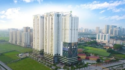 Danh sách dự án chung cư giá cao ngất tại Hà Nội và TPHCM, làm gì khi mua phải đất ‘dính’ quy hoạch?