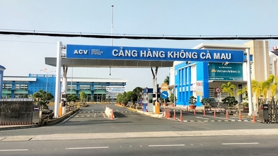 Đề nghị sớm khai thác trở lại đường bay Hà Nội - Cà Mau