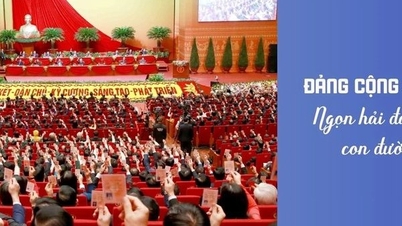 បក្សកុម្មុយនិស្តវៀតណាម