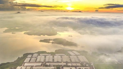 New Day on the Largest Dairy Farm in Vietnam