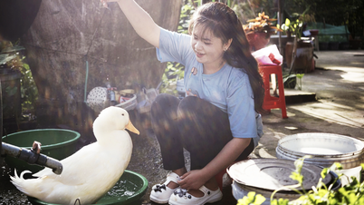 The poor girl and the duck suddenly became famous throughout Asia