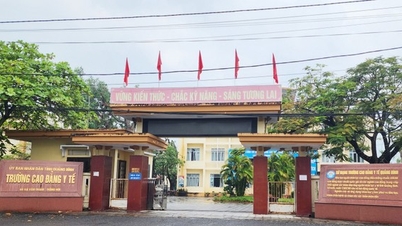 អនុគ្រោះ​សម្រាប់​សមាជិក​គ្រួសារ​ដើម្បី​ក្លាយ​ជា​មន្ត្រី​សំខាន់