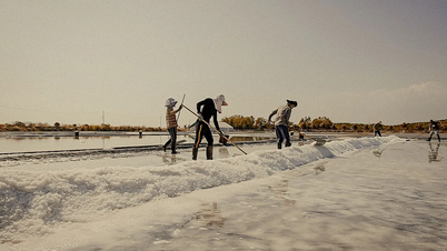 "Upgrading" the Vietnamese film scene