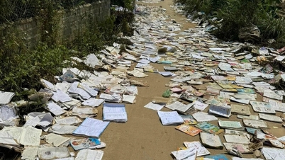 Что говорят в школе о шумихе вокруг «книг и тетрадей, разбросанных перед школьными воротами после наводнения»?