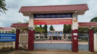 ការតែងតាំងនាយកសាលាឡើងវិញ