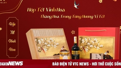 Vinh Hoa Tet Box - Sublimation in every Tet flavor