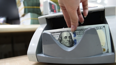 HSBC: Tỷ giá USD/VND chịu áp lực tăng trong quý I