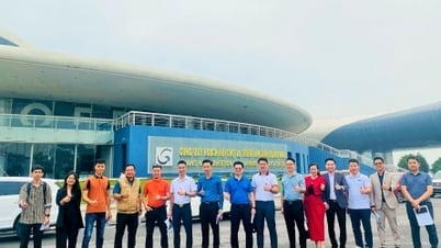 Sẽ livestream bán hàng tại Triển lãm của doanh nhân trẻ tại Quảng Ninh