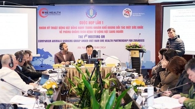 ការអប់រំ និងការប្រាស្រ័យទាក់ទងអំពីកម្មសិទ្ធិសត្វចិញ្ចឹមប្រកបដោយការទទួលខុសត្រូវ