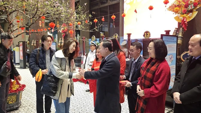 Đón đoàn du khách quốc tế “xông” đất Hạ Long ngày đầu năm mới