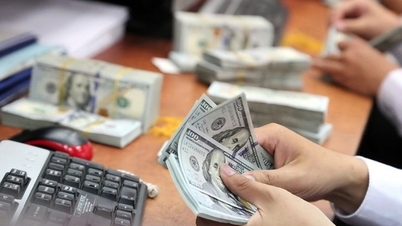 Đồng USD ngân hàng giảm mạnh, USD tự do “cố thủ” mức 25.000 đồng