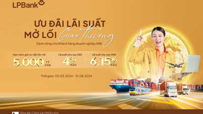 LPBank tiếp sức Doanh nghiệp xuất nhập khẩu với lãi suất vay chỉ từ 4%/năm
