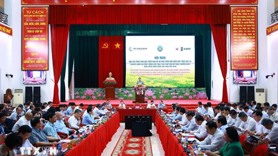 Prime Minister: 'The rice revolution cannot be without the power of the people'